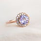 Tanzanite Elegance Halo Ring - 14K Rose Gold 1546TRR