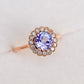 Tanzanite Elegance Halo Ring - 14K Rose Gold 1546TRR
