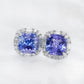 Tanzanite Princess Halo Earrings - 14K White Gold 1582TEW