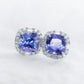 Tanzanite Princess Halo Earrings - 14K White Gold 1582TEW