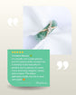 BACKORDER: Love Knot & XOX Jade Ring