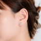 Horseshoe Opal Earrings