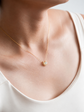 Horseshoe Opal Necklace