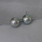 Silvery Blue Akoya Pearl Ear Studs in 14K White Gold