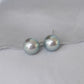 Silvery Blue Akoya Pearl Ear Studs in 14K White Gold