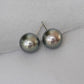 Tahitian Pearl Ear Studs in 18K White Gold - T176