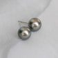 Tahitian Pearl Ear Studs in 18K White Gold - T176