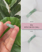 BACKORDER: Love Knot & XOX Jade Ring