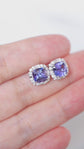 Tanzanite Princess Halo Earrings - 14K White Gold 1582TEW