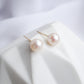 Freshwater Pearl Ear Studs in 14K Gold -6-6.5mm