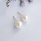 Freshwater Pearl Ear Studs in 14K Gold -6-6.5mm